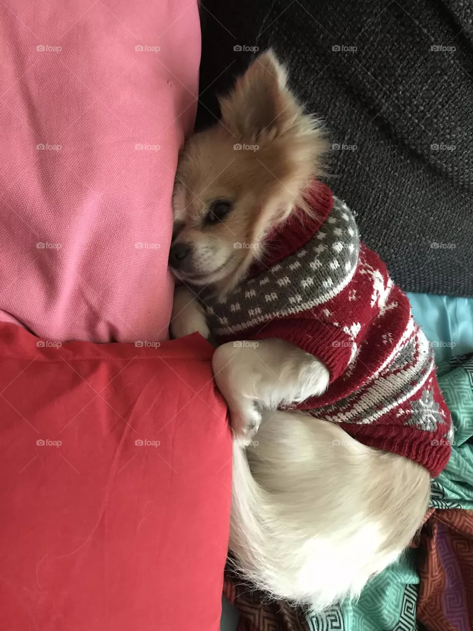 Sleepy Time