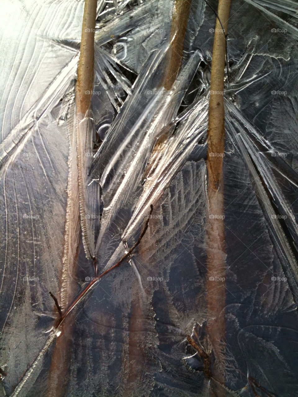 snow winter nature ice by ev77