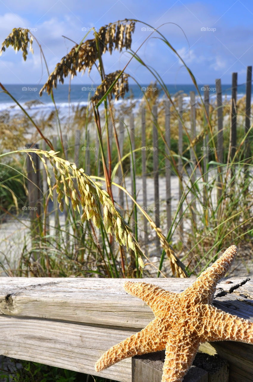 Pretty beach landscape with starfish resting on railing. 