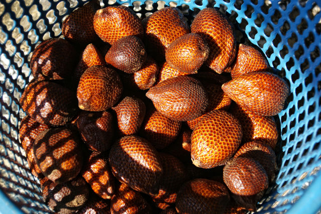 Salak (salacca/zalacca)