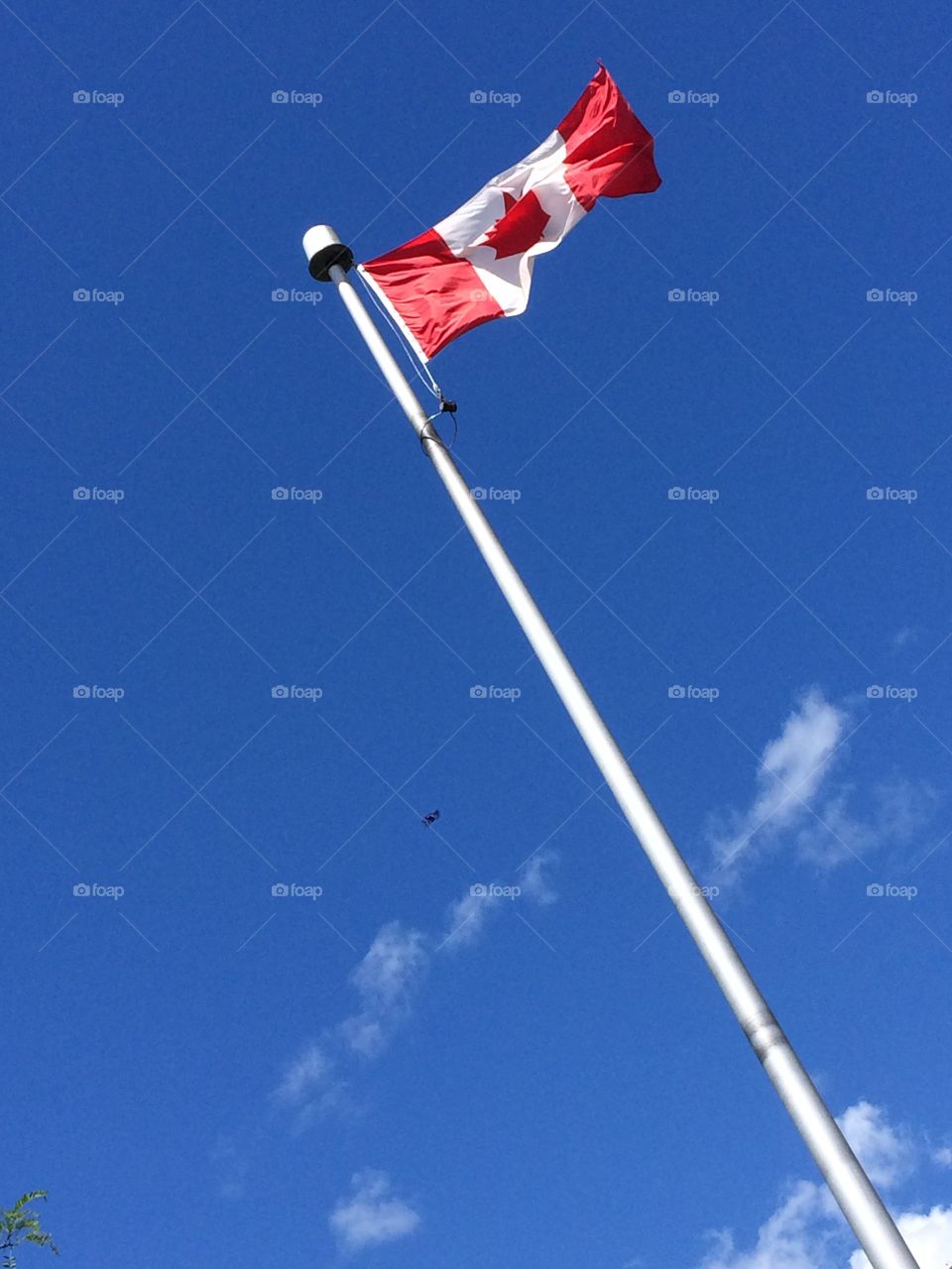 Canada Flag