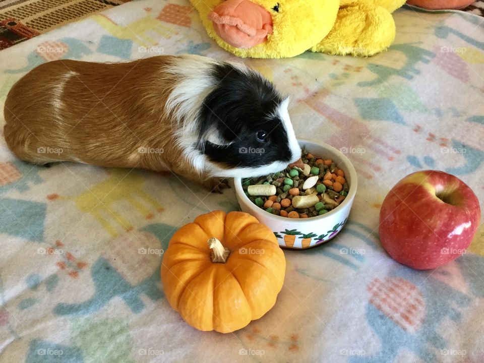 Jonathan loves to eat 