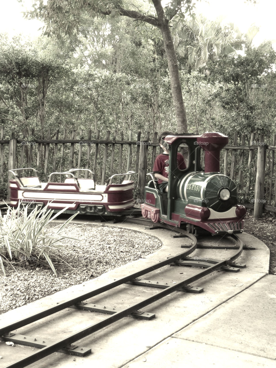 Toddler Train Ride. Miniature train amusement park ride for toddlers preschoolers and little kids