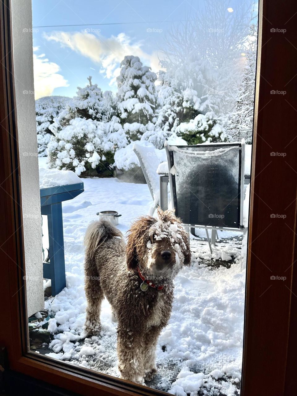 May I come in? Pretty please?