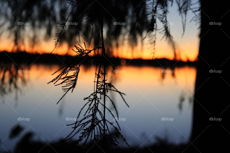 Beautiful sunrise in Ocoee Florida 