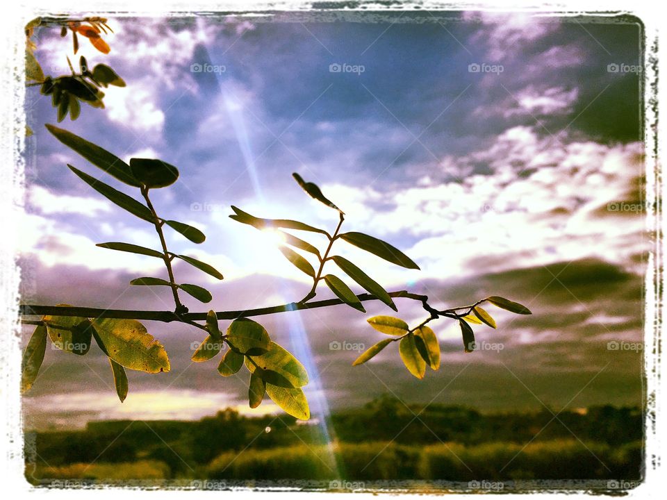 #Amanhecer na "tríplice fronteira" do #CircuitodasFrutas: divisa de #Jundiaí, #Itupeva e #Cabreuva. 
🌅
#natureza
#fotografia
#paisagem
#inspiração