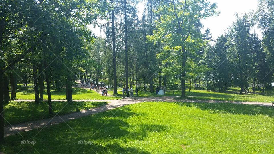 a Park