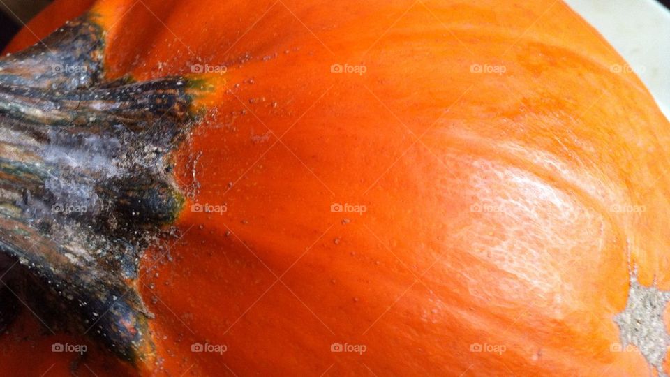 Planet Pumpkin