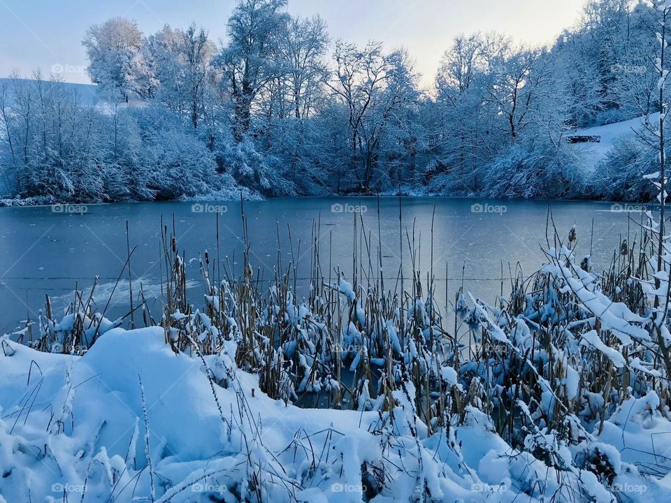 Landscape winter snow lake
