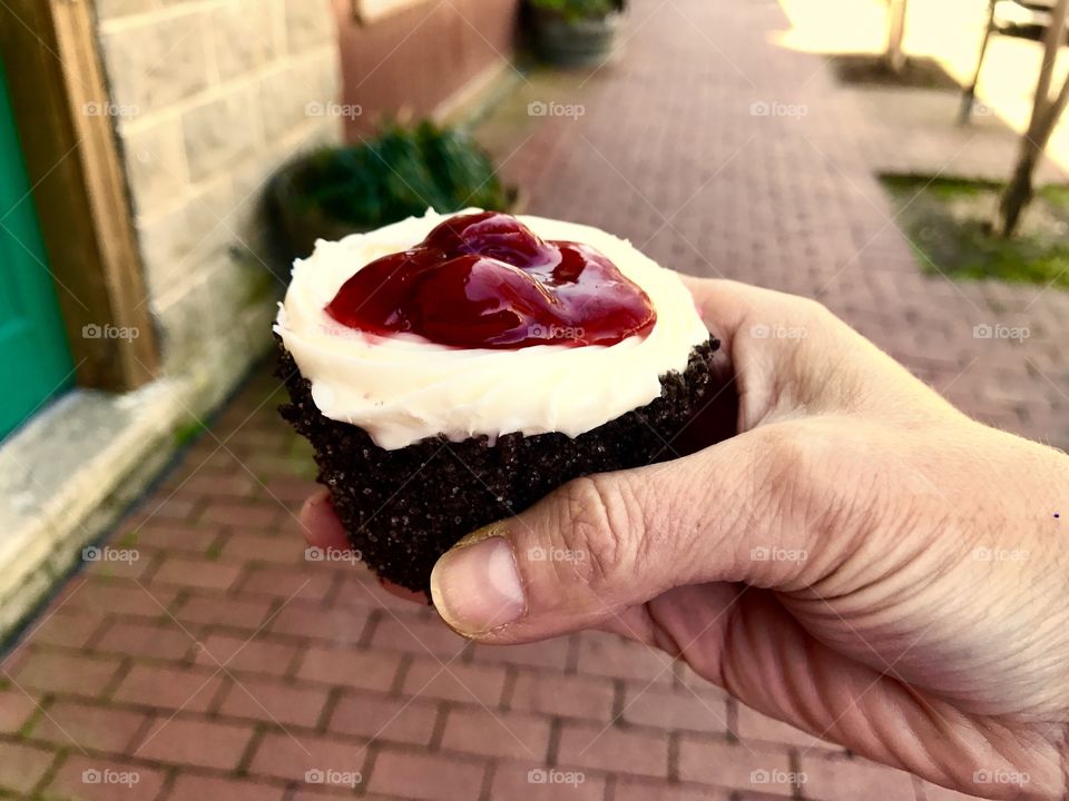 Chocolate Cupcake in Hand