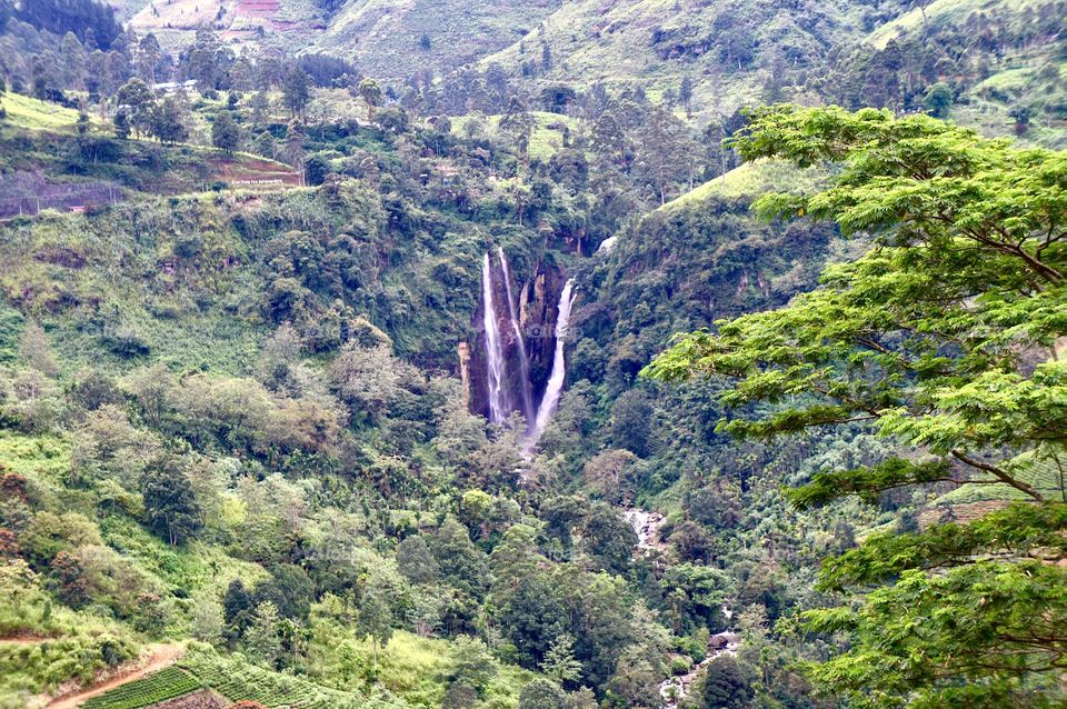 Sri Lankan Waterfall