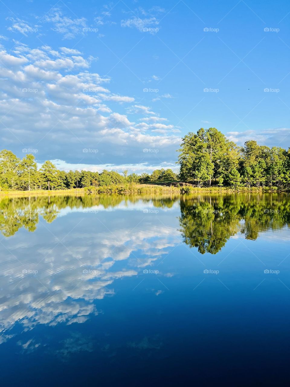 Beautiful natural symmetry of white clouds, bright blue autumn sky, and green pine trees reflecting in a countryside pond