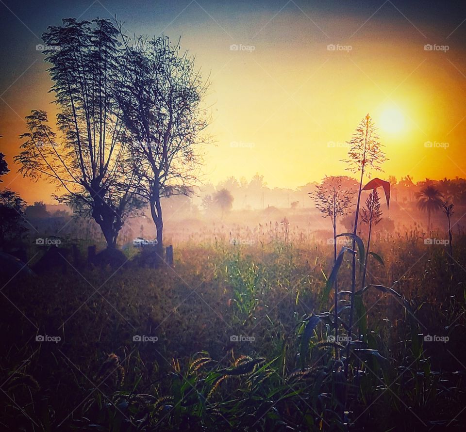 morning nature s so silence but its creativity was so good