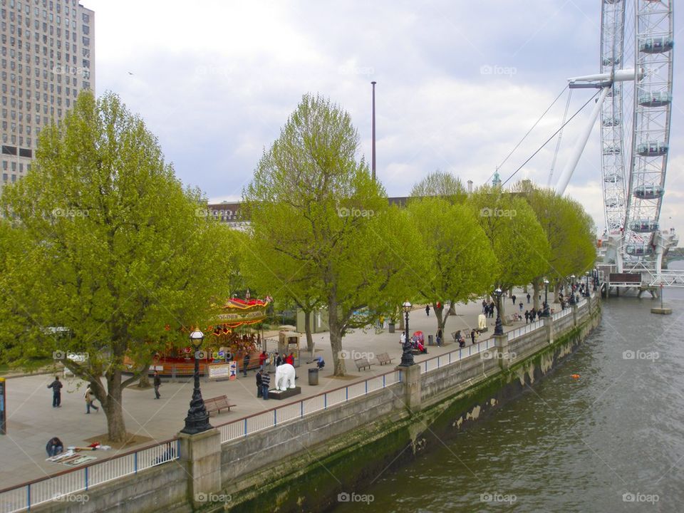 THE LONDON EYES AT THE THAMES LONDON, ENGLAND