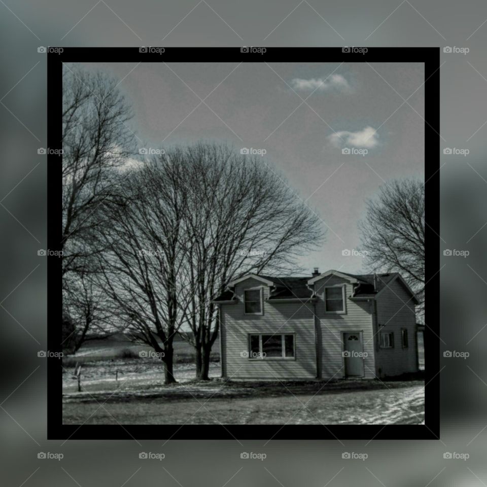 Once Upon An Early Spring Day