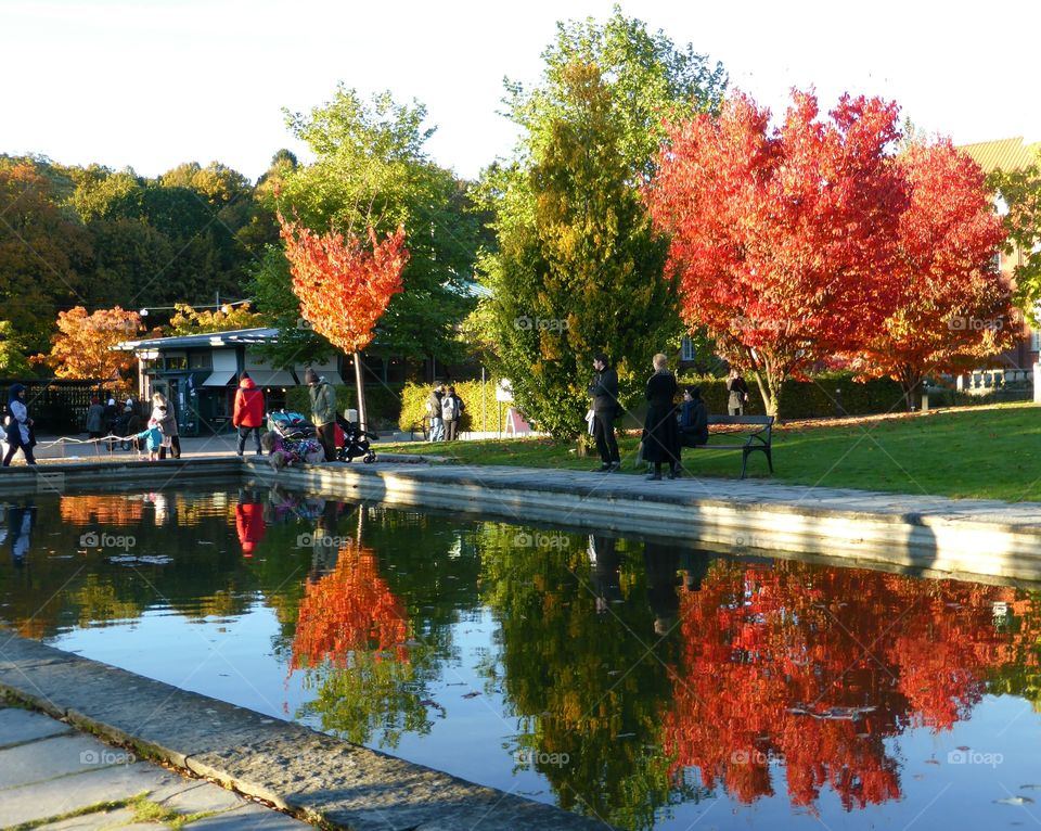 people enjoying fall in a park. people enjoying fall in a park