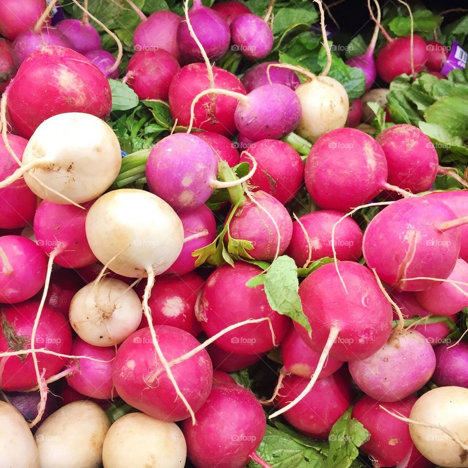 Spring radishes