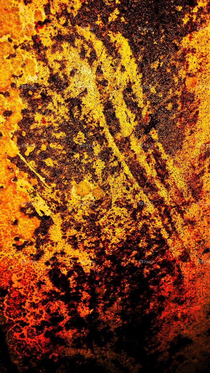 Fungal growth on metal 2