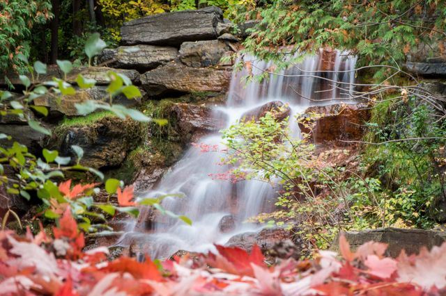 Waterfall in the forest