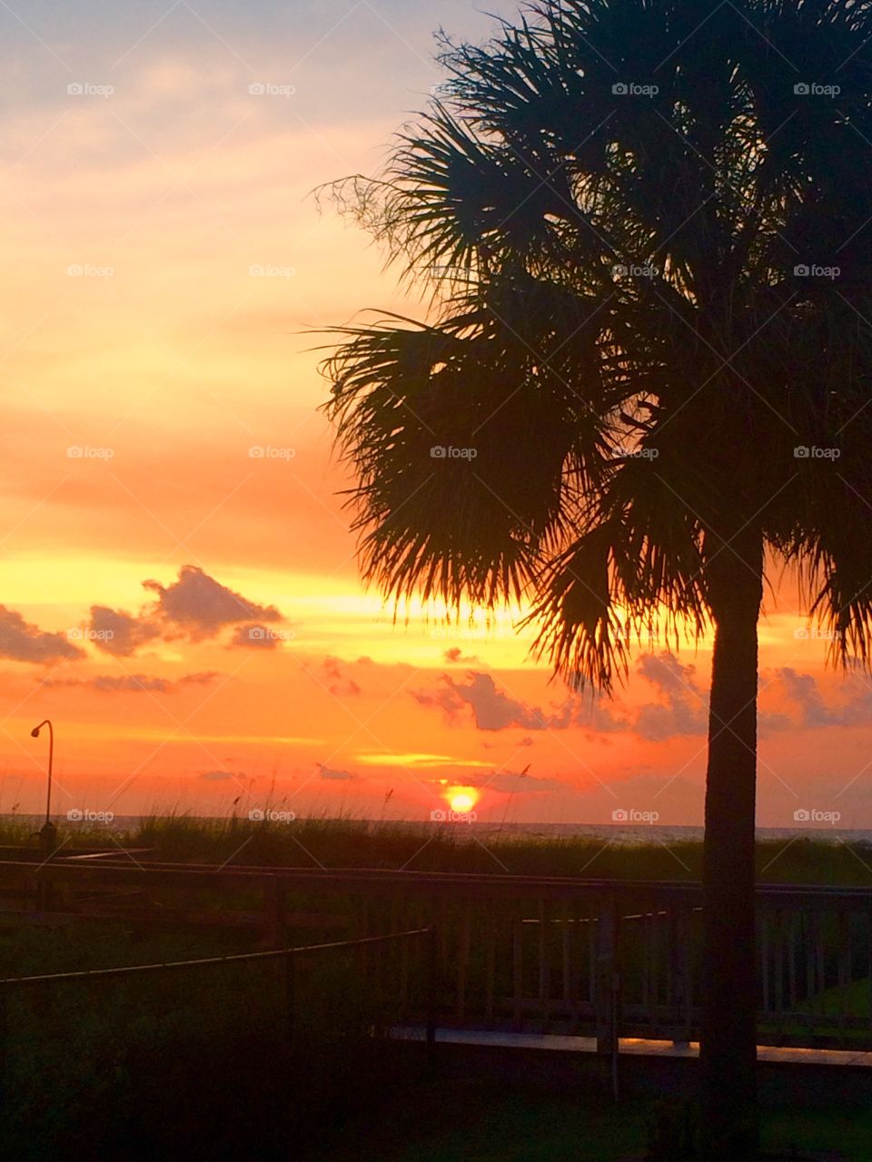 Tropical sunset