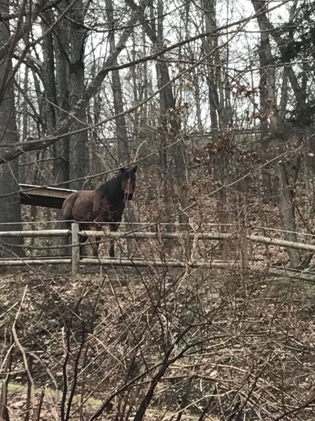 Watching me