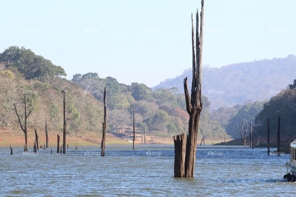 Periyar River passing through jungle.