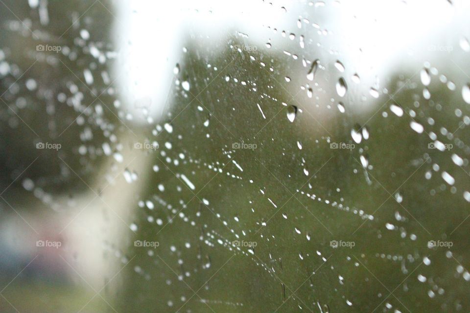 Rain on the window 