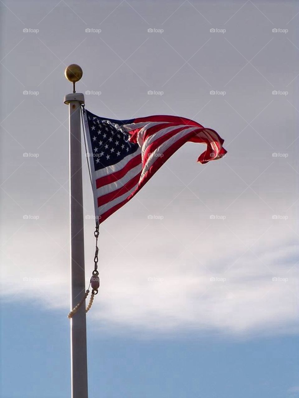 Flag (US)