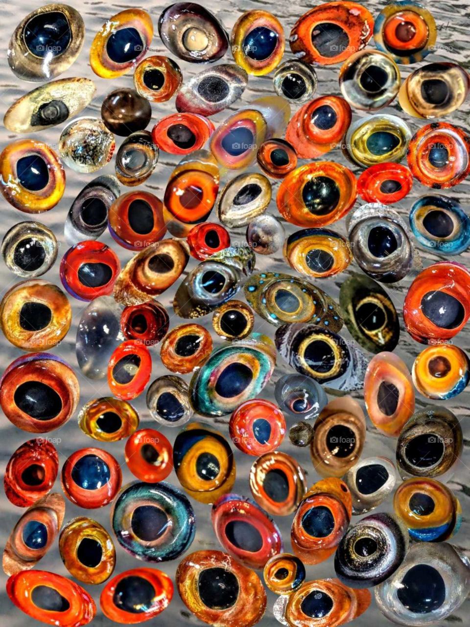 I found many fishes' eyes be vibrant and beautiful in market before. so I took many photos for them, then I arranged them into one photo, became a gem-like
,colorful and bright fishes' eyes photo.