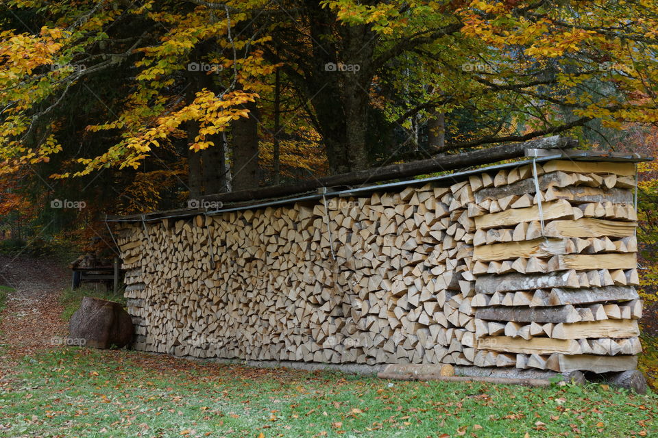 Réserves de bois pour l'hiver 