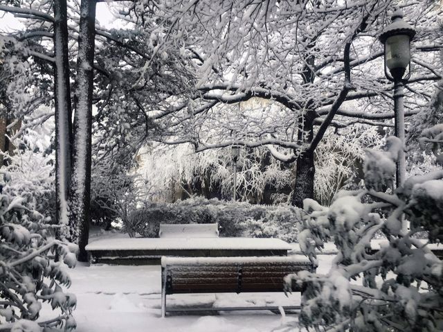 Hofstra winter 