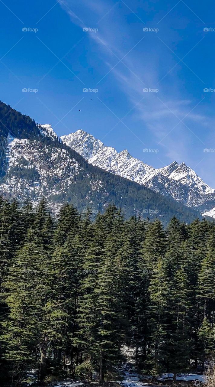 Mountains covered with snow