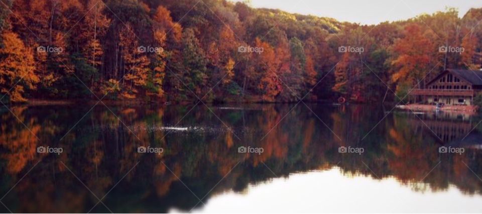 Autumn trees reflected in lake