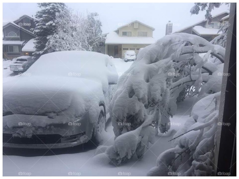 Winter Wonderland in May