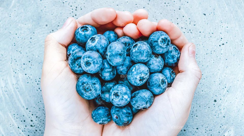 hands holding fresh blueberries