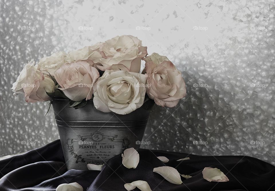 Roses in Tin