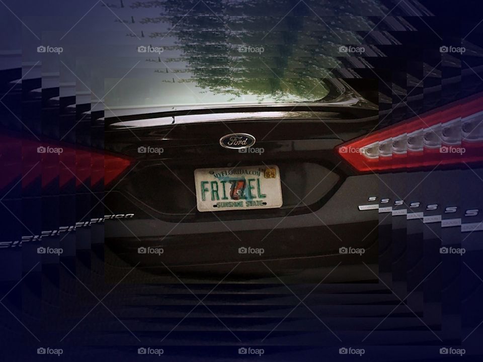 Unique Florida license plate collection FRIZZEL