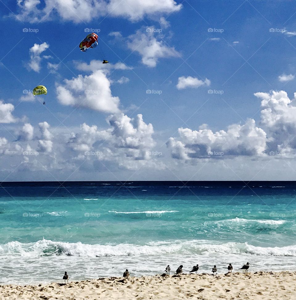 Seagulls stand by to watch adventurous tourist take on the sky in parasails.