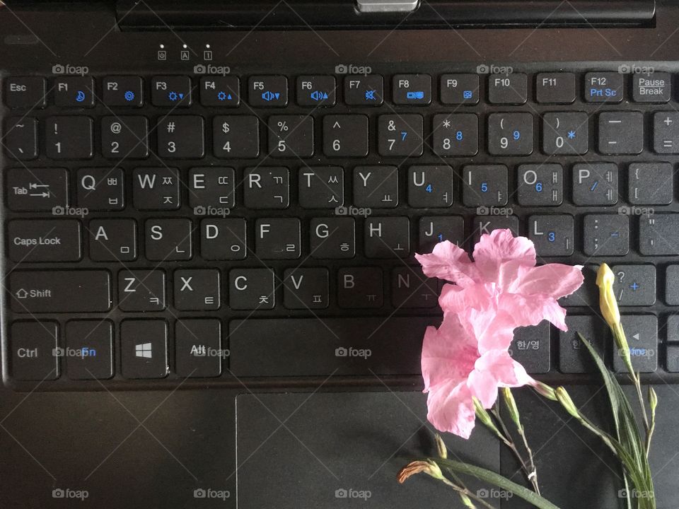 Rectangles in keyboard 