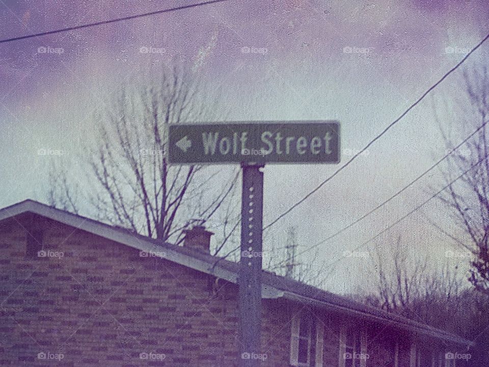 WOLF STREET - Street sign located in West Virginia