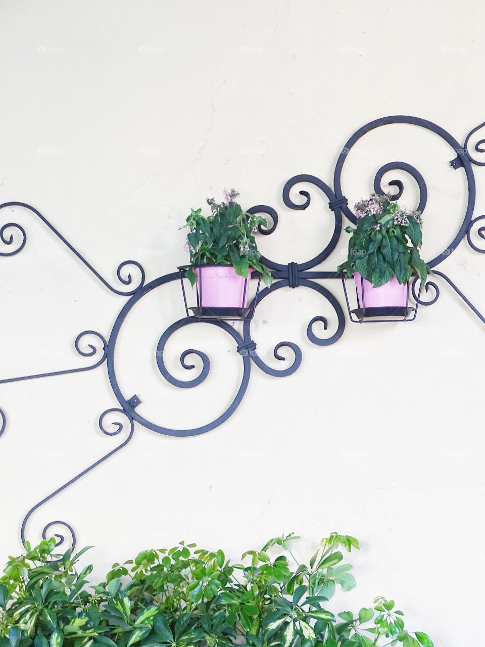 The beauty of the walls