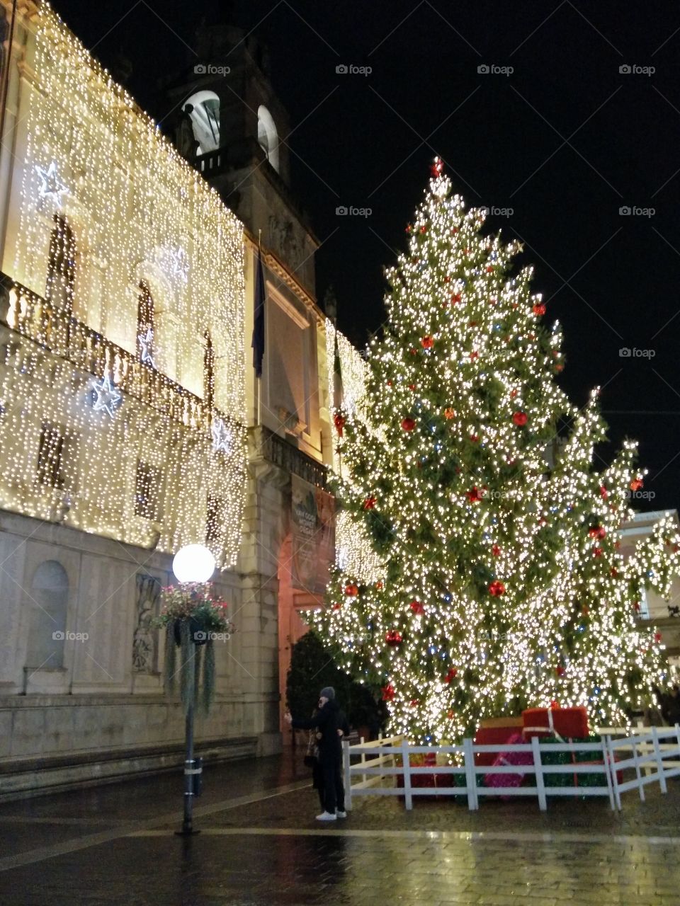 Christmas lights and tree in Padua italy city centre