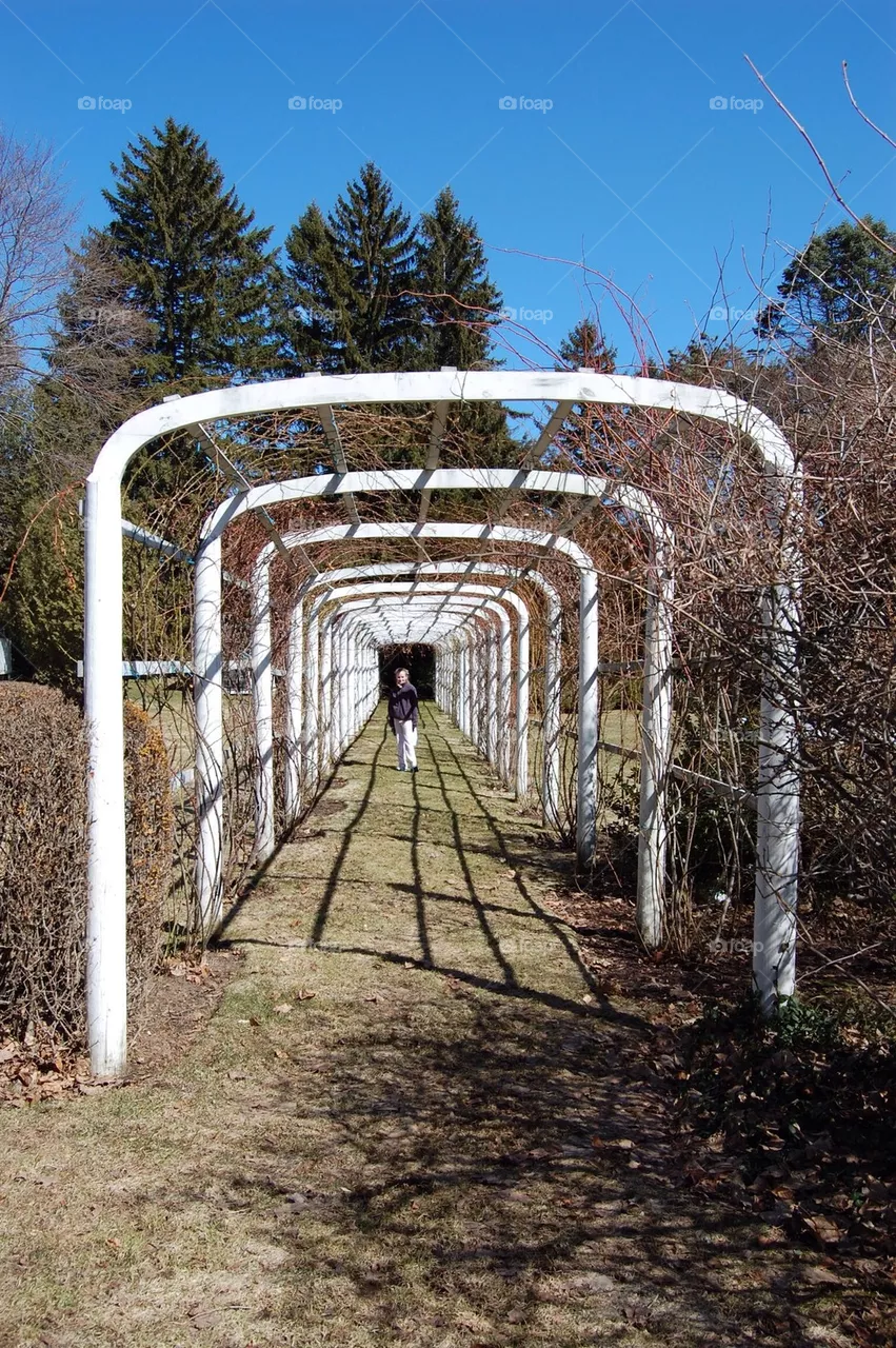 Arbor 