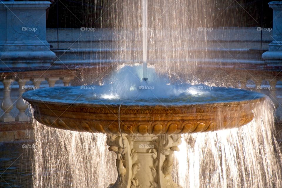 fountain in the garden