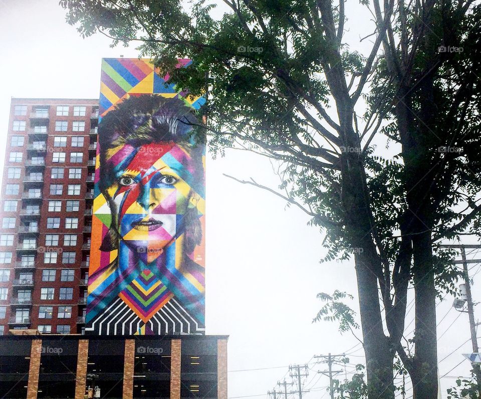 Not so colorful Bowie 