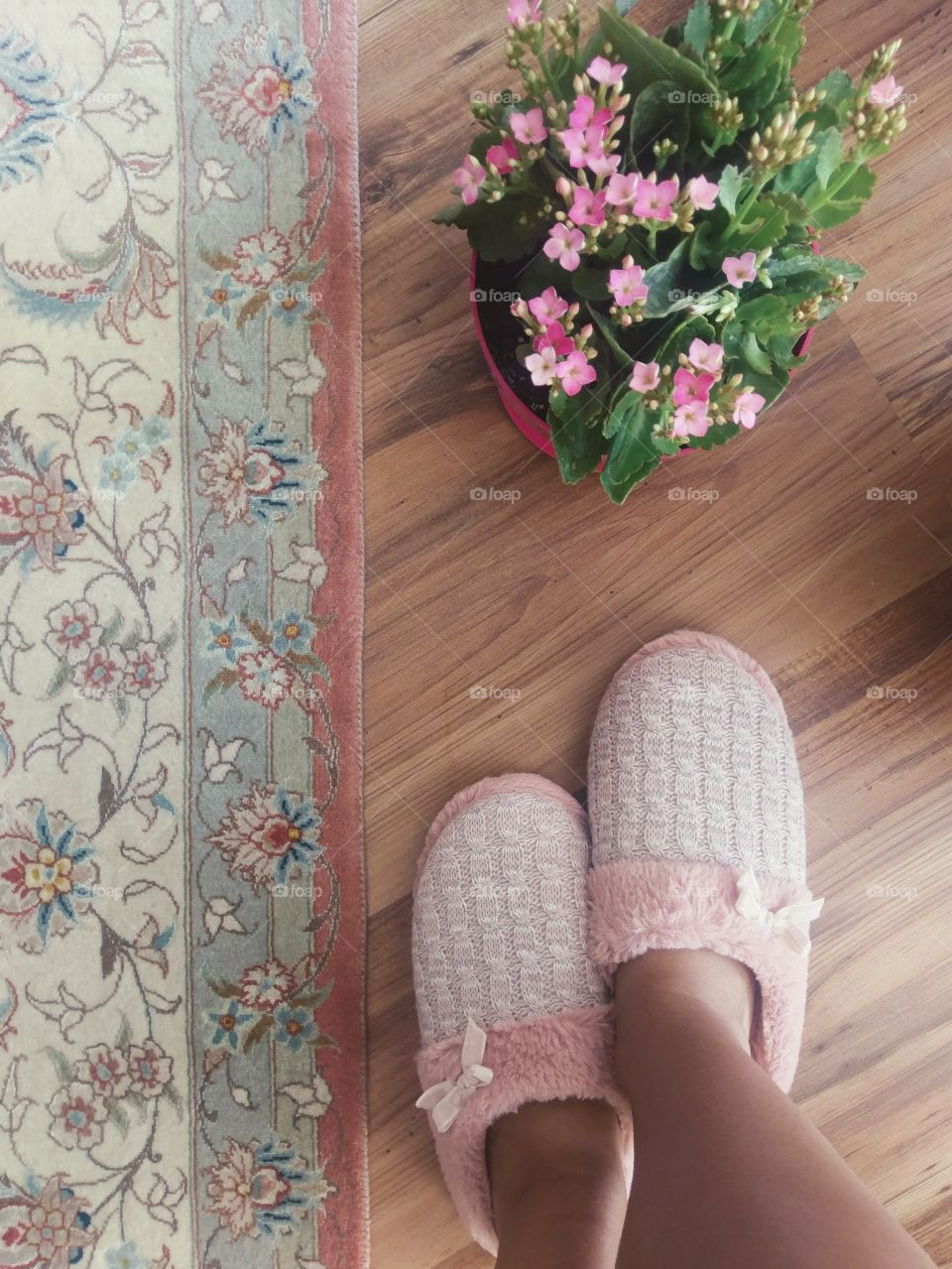 My lovely new slippers ❤