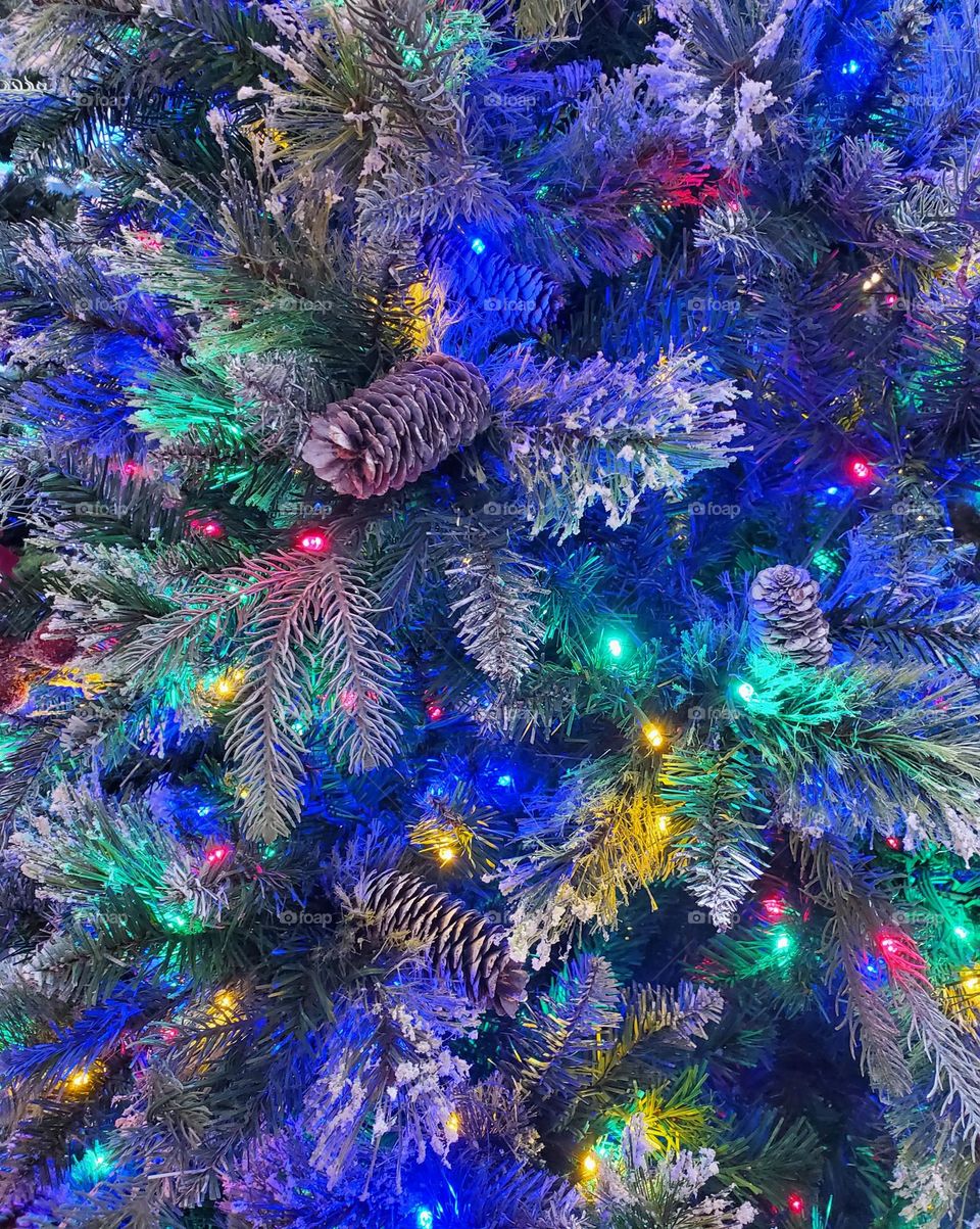 Christmas Tree of Snow and Lights