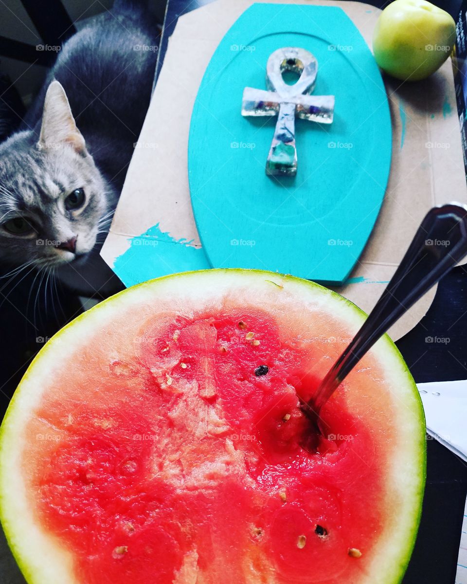 art projects watermelon and kitty