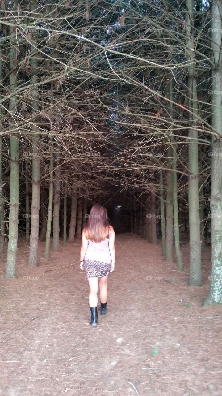 Take a walk into the forest