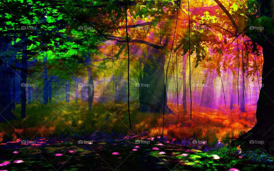 the beautiful colorful forest